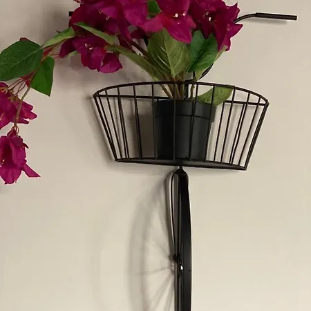 Apartamento 50mt Dal Mare