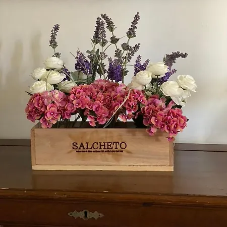 50mt Dal Mare * Viareggio